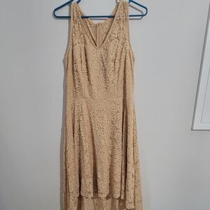 Dress Tells L LACY high low